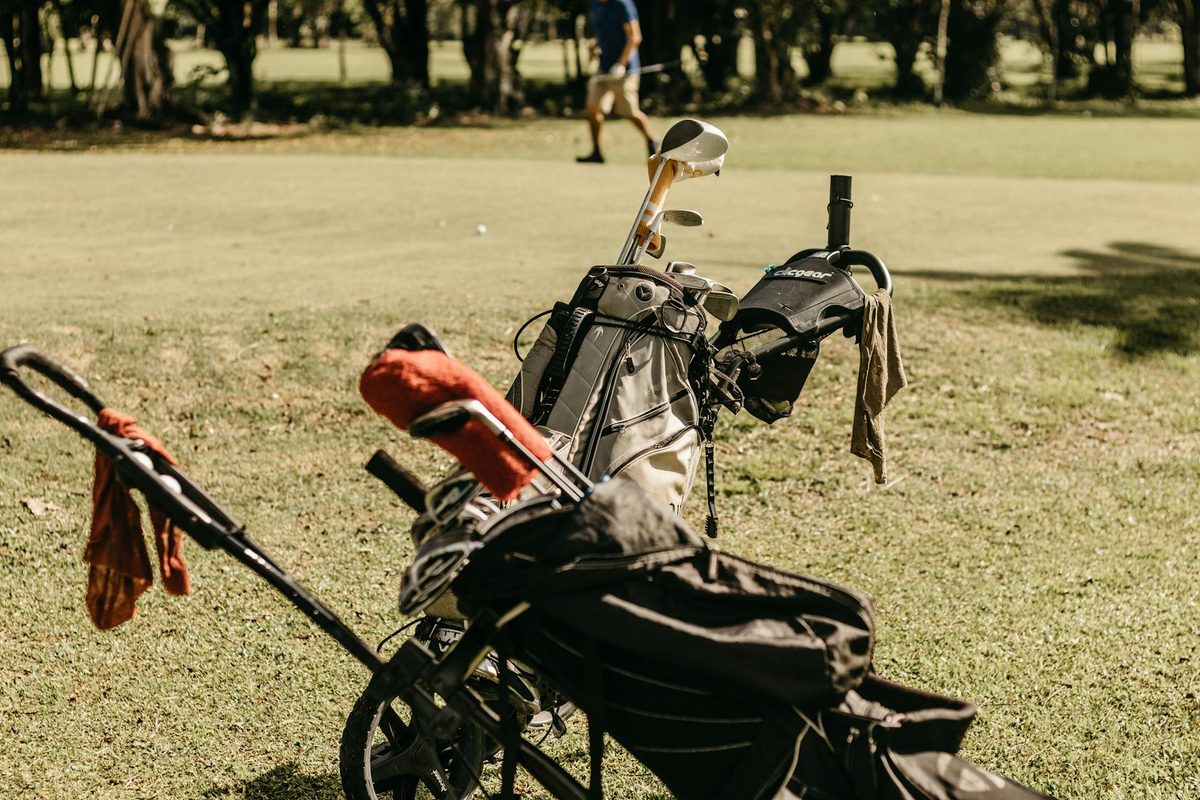 A selection of stand bags and cart bags arranged on a golf course fairway
