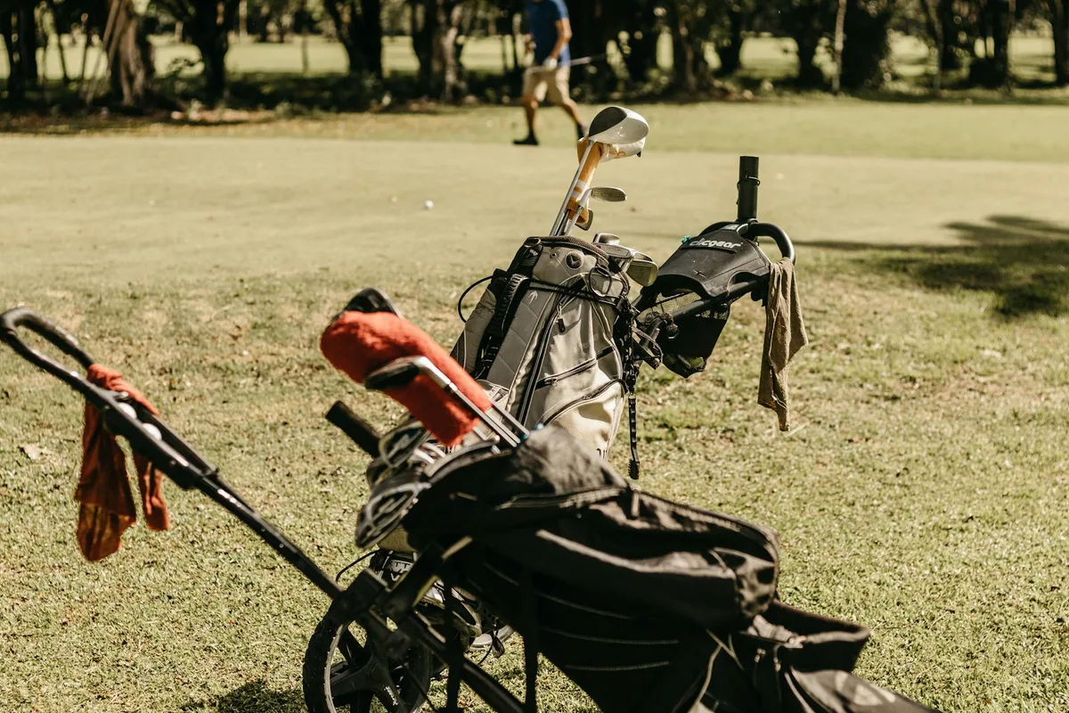 A selection of stand bags and cart bags arranged on a golf course fairway