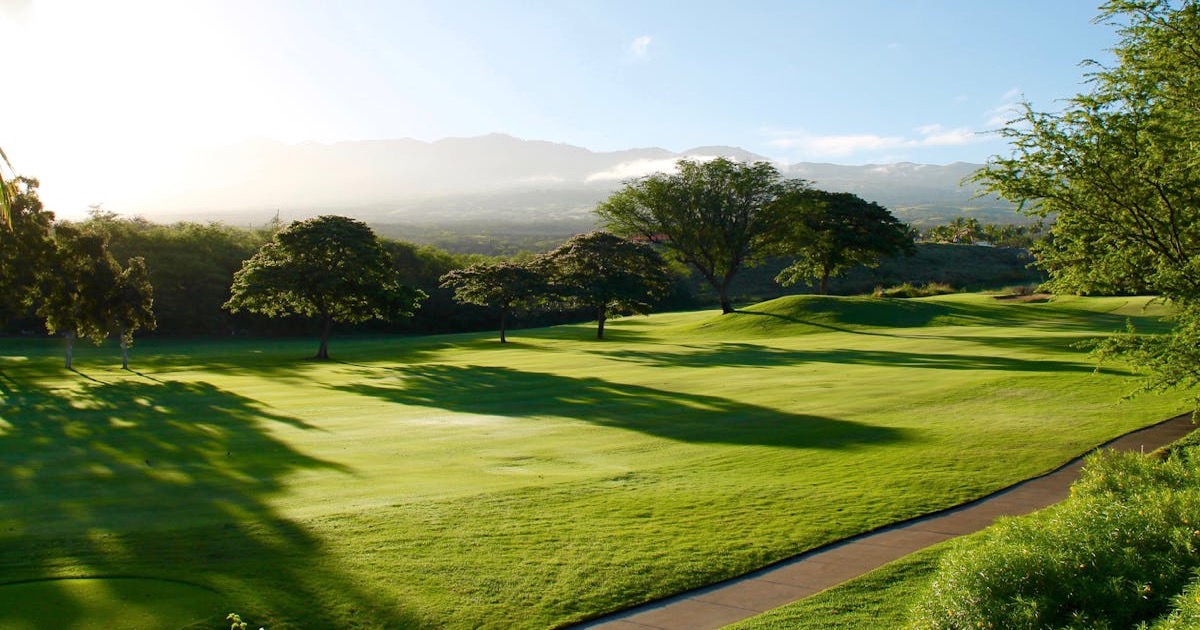 Golf experience day