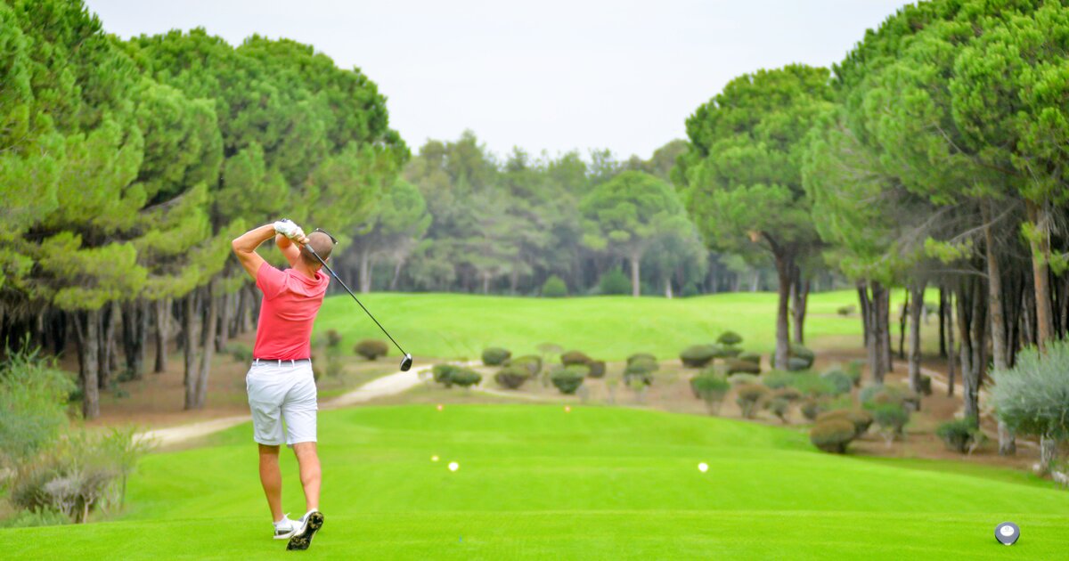 A golfer in follow-through pose looking down a tree-lined fairway